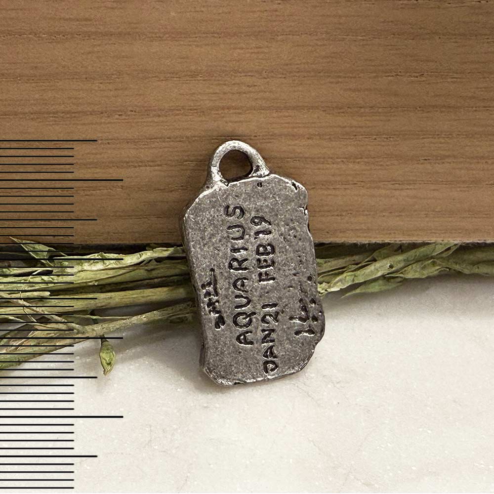 Antique Pewter Zodiac Tag Pendants