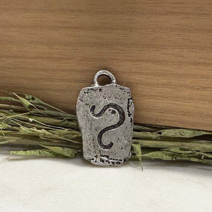 Antique Pewter Zodiac Tag Pendants